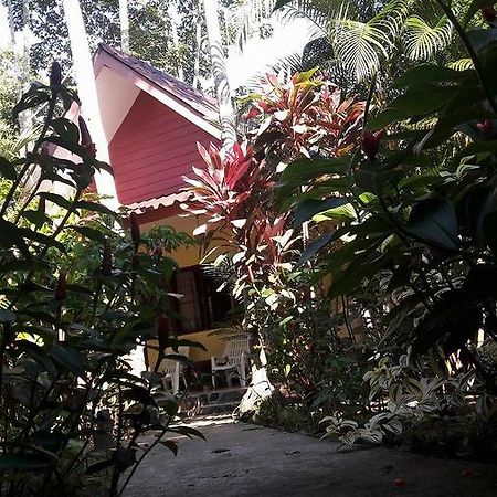 Khao Sok Holiday Resort Khao Sok National Park Extérieur photo